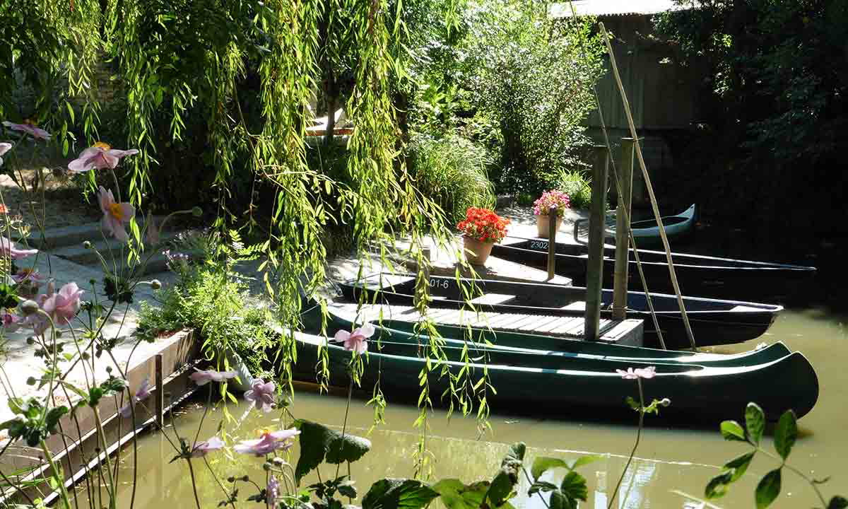Le Lidon Poitou-Charentes - Saint-Hilaire-la-Palud visuel 11/20