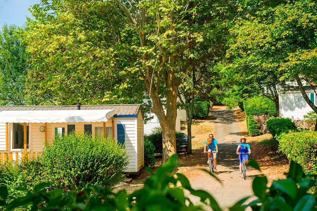 Le Mas Aquitaine - Les Eyzies de Tayac Sireuil visuel 10/13