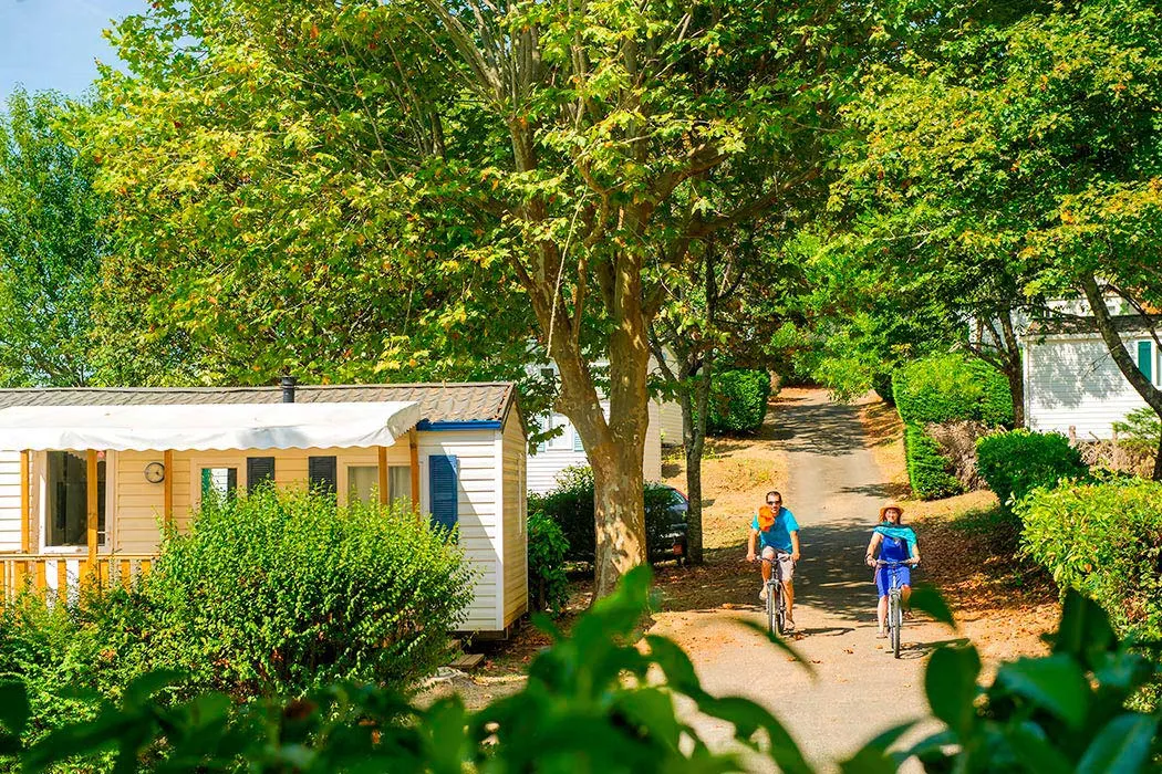 Camping Le Mas Aquitaine - Les Eyzies de Tayac Sireuil visuel 10/13