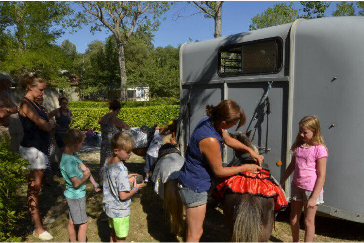 Le Mas de Reilhe Languedoc-Roussillon - Crespian visuel 9/16