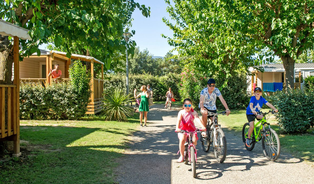 Le Neptune Languedoc-Roussillon - Argelès-sur-Mer visuel 9/16