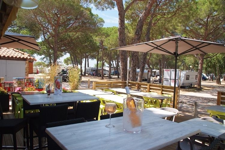 Le Pansard Provence-Alpes-Côte d'Azur - La Londe-les-Maures visuel 10/10