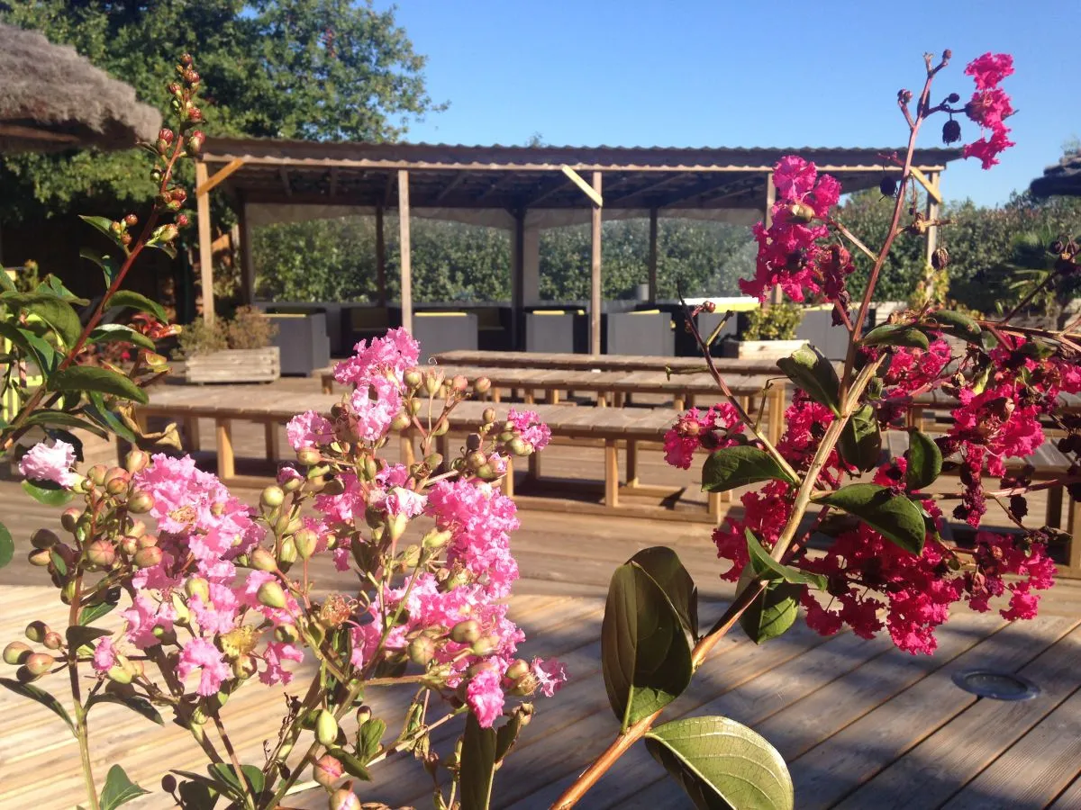 Camping Le Paradis Aquitaine - Carcans visuel 4/13