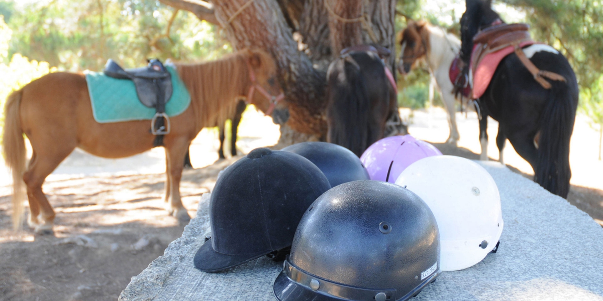 Le Paradis Pays de Loire - Talmont-Saint-Hilaire visuel 18/19
