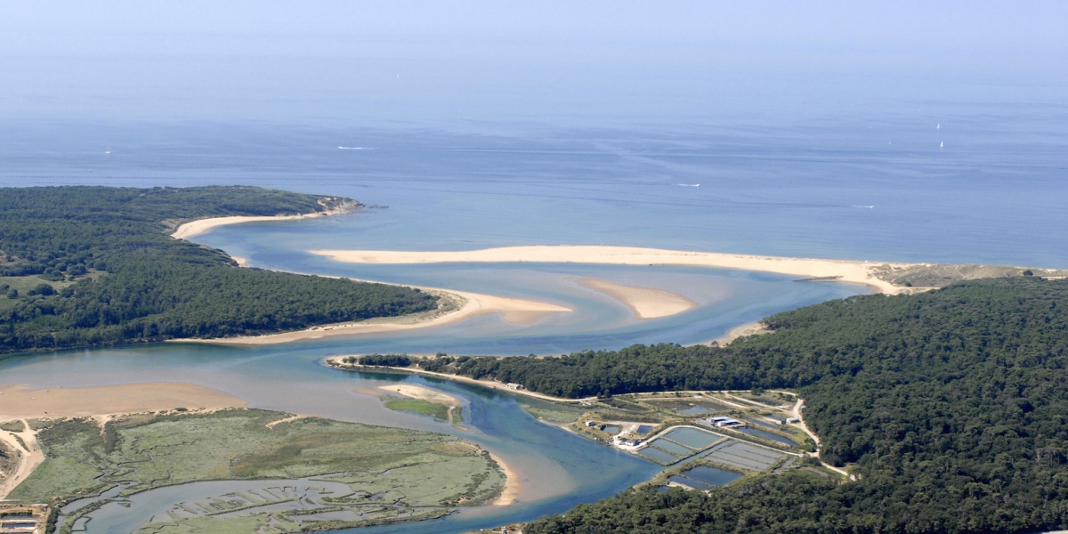 Le Paradis Pays de Loire - Talmont-Saint-Hilaire visuel 3/19