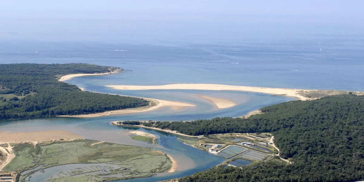 Camping Le Paradis Pays de Loire - Talmont-Saint-Hilaire visuel 3/19