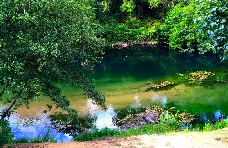 Camping Le Parc des Monges Provence-Alpes-Côte d'Azur - Auribeau-sur-Siagne visuel 24/27