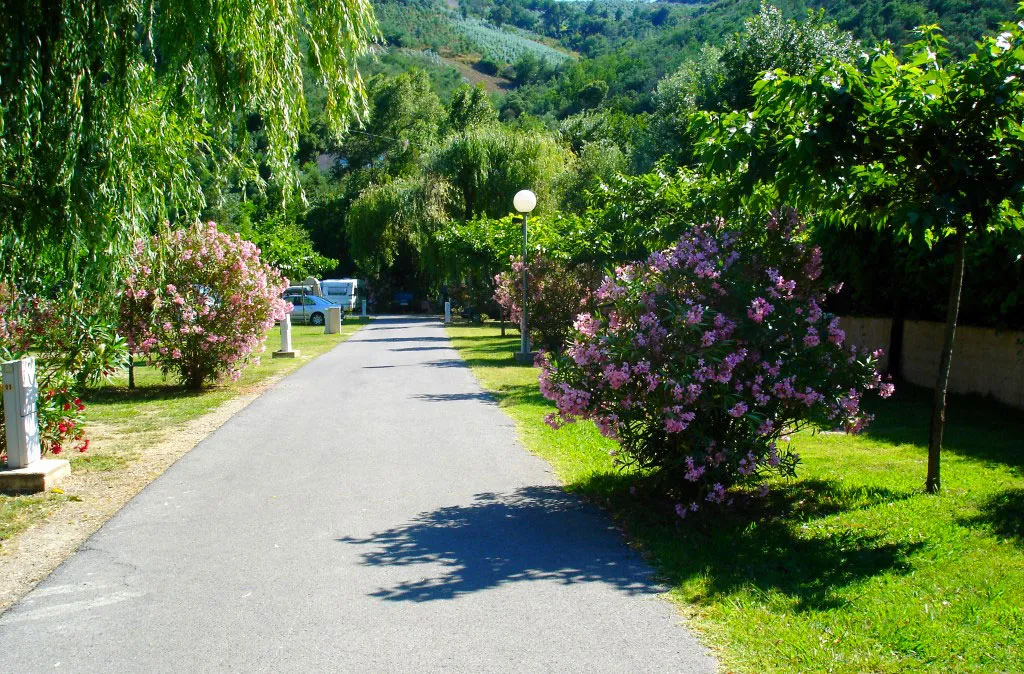 Camping Le Parc des Monges Provence-Alpes-Côte d'Azur - Auribeau-sur-Siagne visuel 23/27
