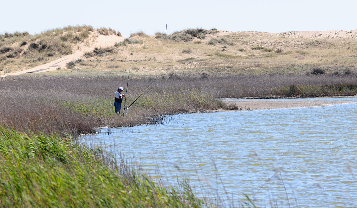 Le Pavillon Bleu Pays de Loire - La Faute-sur-Mer visuel 26/26