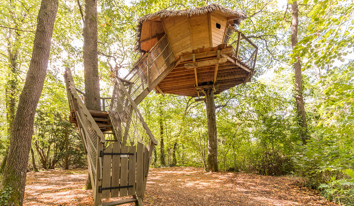 Le Petit Trianon Poitou-Charentes - Ingrandes visuel 1/18