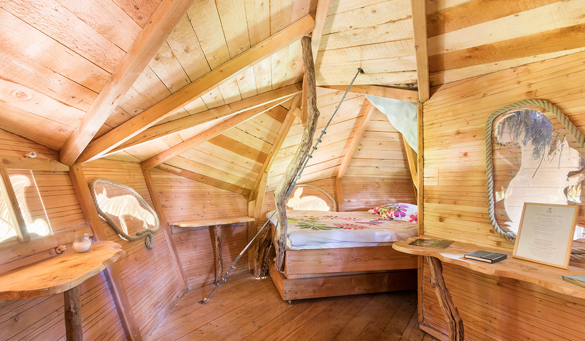 Le Petit Trianon Poitou-Charentes - Ingrandes visuel 12/18