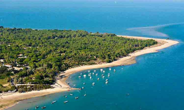 Le Phare Poitou-Charentes - Les Portes en Ré visuel 4/8 Le Phare Poitou-Charentes - Les Portes en Ré visuel 4/8