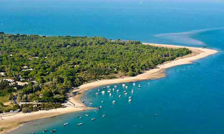 Camping Le Phare Poitou-Charentes - Les Portes en Ré visuel 4/8