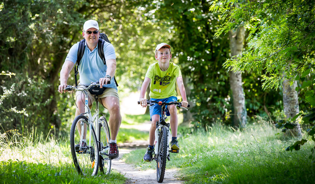 Le Pin Parasol Pays de Loire - La Chapelle Hermier visuel 32/33 Le Pin Parasol Pays de Loire - La Chapelle Hermier visuel 32/33