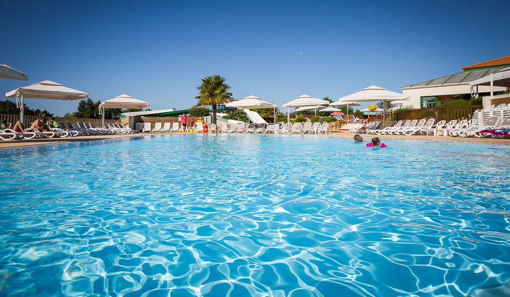 Le Pin Parasol Pays de Loire - La Chapelle Hermier visuel 2/33 Le Pin Parasol Pays de Loire - La Chapelle Hermier visuel 2/33