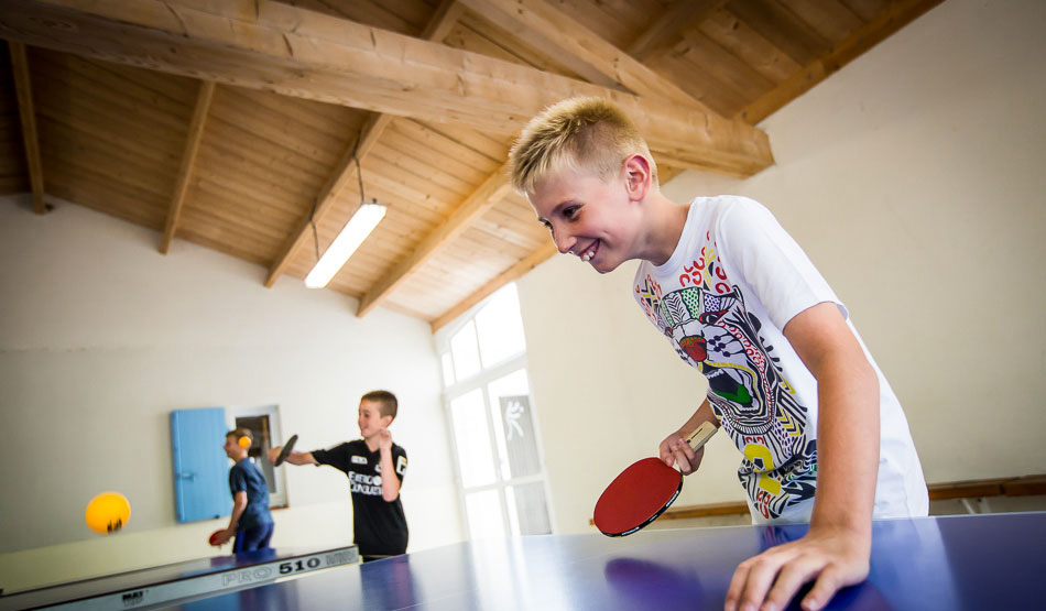 Le Pin Parasol Pays de Loire - La Chapelle Hermier visuel 16/33 Le Pin Parasol Pays de Loire - La Chapelle Hermier visuel 16/33