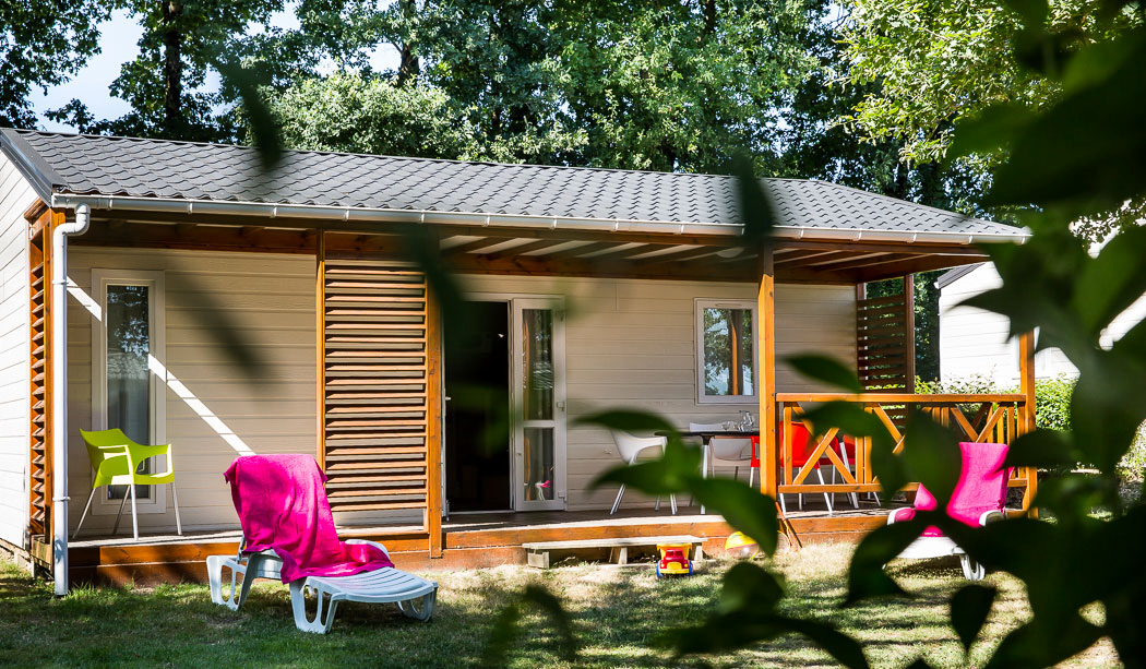 Le Pin Parasol Pays de Loire - La Chapelle Hermier visuel 19/33 Le Pin Parasol Pays de Loire - La Chapelle Hermier visuel 19/33