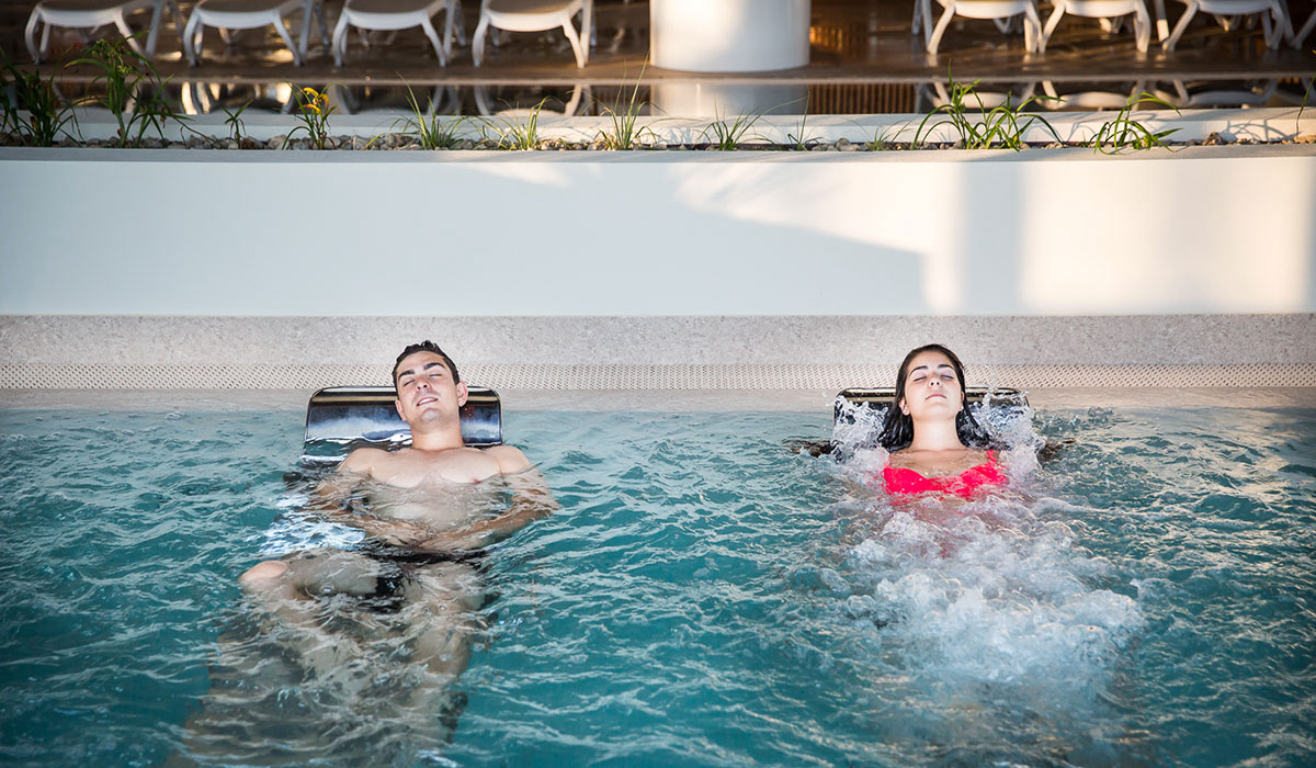 Le Pin Parasol Pays de Loire - La Chapelle Hermier visuel 11/33 Le Pin Parasol Pays de Loire - La Chapelle Hermier visuel 11/33