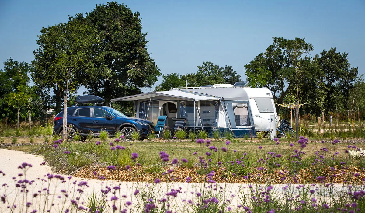 Camping Le Pin Parasol Pays de Loire - La Chapelle Hermier visuel 30/33