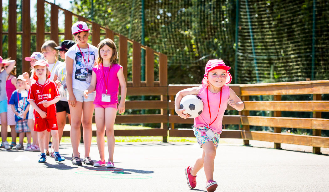 Le Pin Parasol Pays de Loire - La Chapelle Hermier visuel 25/33 Le Pin Parasol Pays de Loire - La Chapelle Hermier visuel 25/33