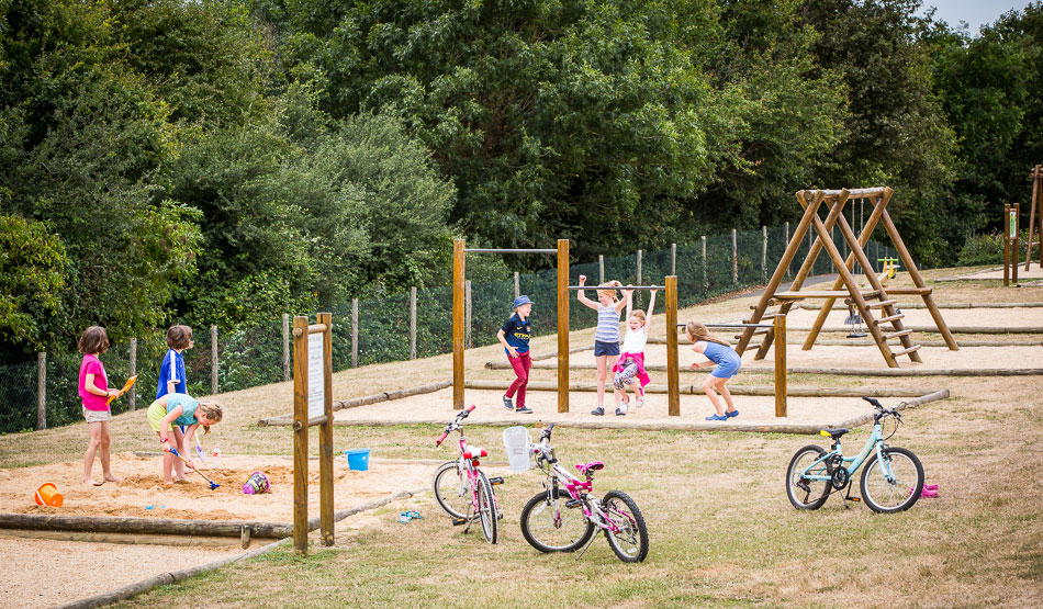 Le Pin Parasol Pays de Loire - La Chapelle Hermier visuel 17/33 Le Pin Parasol Pays de Loire - La Chapelle Hermier visuel 17/33