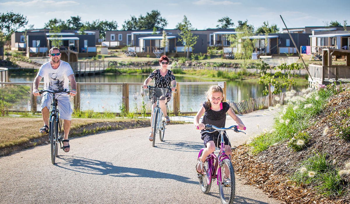 Le Pin Parasol Pays de Loire - La Chapelle Hermier visuel 9/33 Le Pin Parasol Pays de Loire - La Chapelle Hermier visuel 9/33