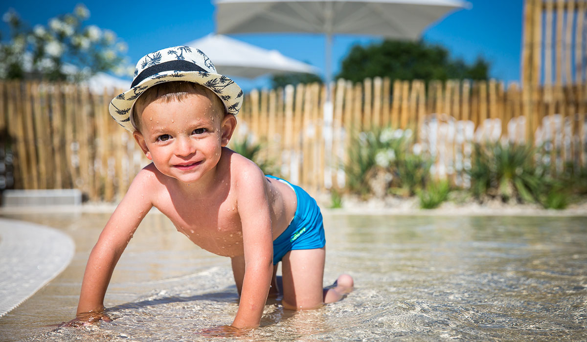 Le Pin Parasol Pays de Loire - La Chapelle Hermier visuel 12/33 Le Pin Parasol Pays de Loire - La Chapelle Hermier visuel 12/33