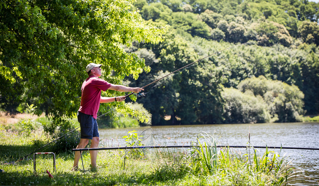 Le Pin Parasol Pays de Loire - La Chapelle Hermier visuel 21/33 Le Pin Parasol Pays de Loire - La Chapelle Hermier visuel 21/33