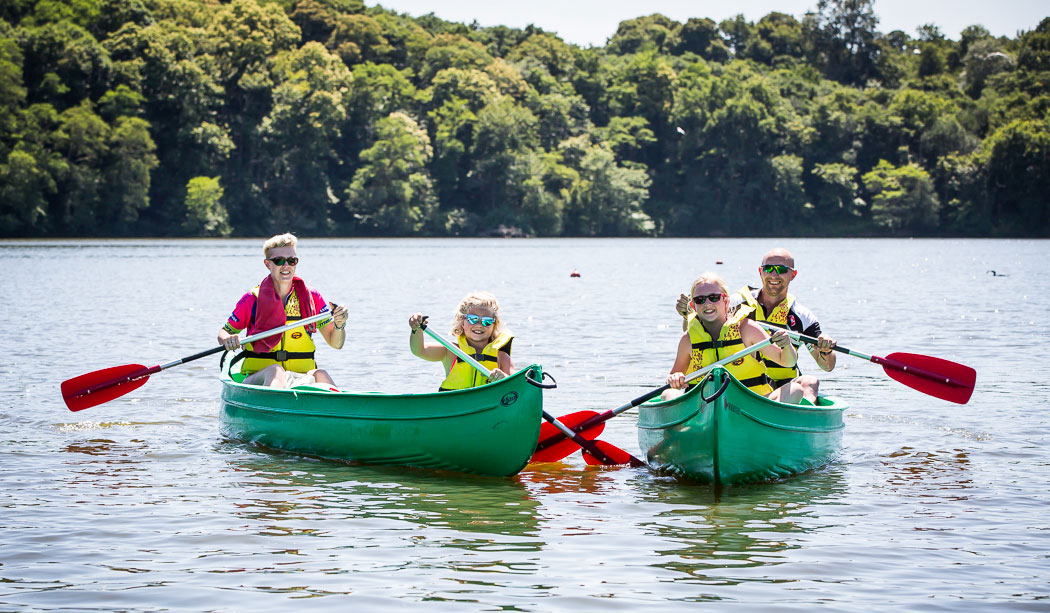 Le Pin Parasol Pays de Loire - La Chapelle Hermier visuel 20/33 Le Pin Parasol Pays de Loire - La Chapelle Hermier visuel 20/33