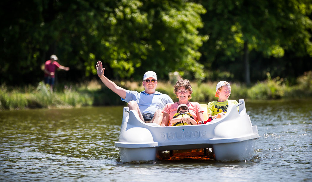 Le Pin Parasol Pays de Loire - La Chapelle Hermier visuel 22/33 Le Pin Parasol Pays de Loire - La Chapelle Hermier visuel 22/33