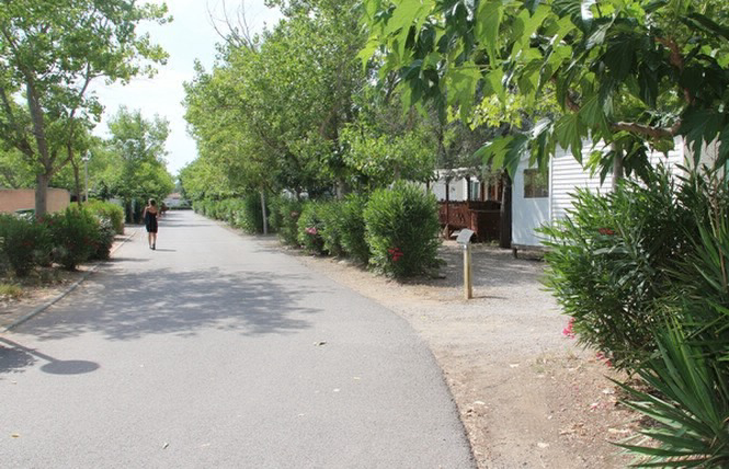 Le Pissevaches Languedoc-Roussillon - Fleury visuel 1/1