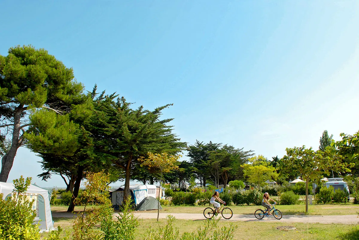 Camping Le Platin Poitou-Charentes - Rivedoux-Plage visuel 10/15