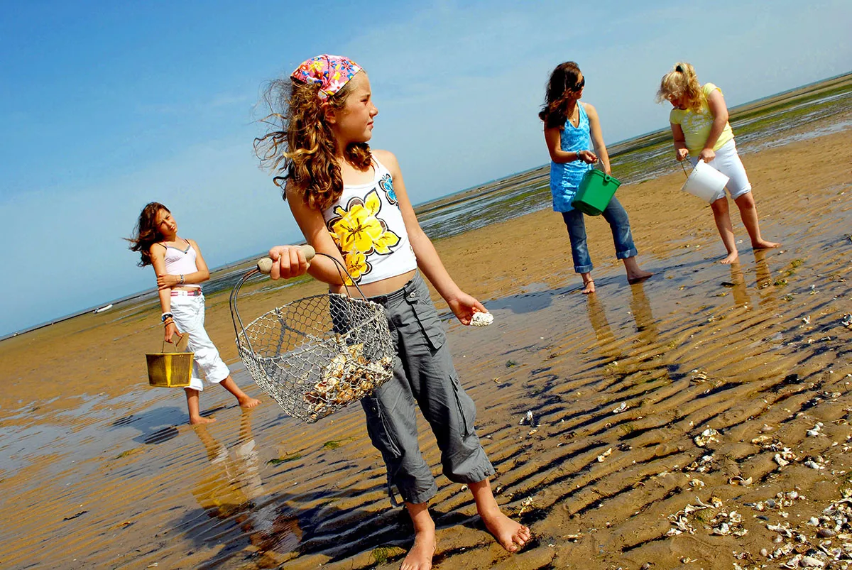 Camping Le Platin Poitou-Charentes - Rivedoux-Plage visuel 13/15