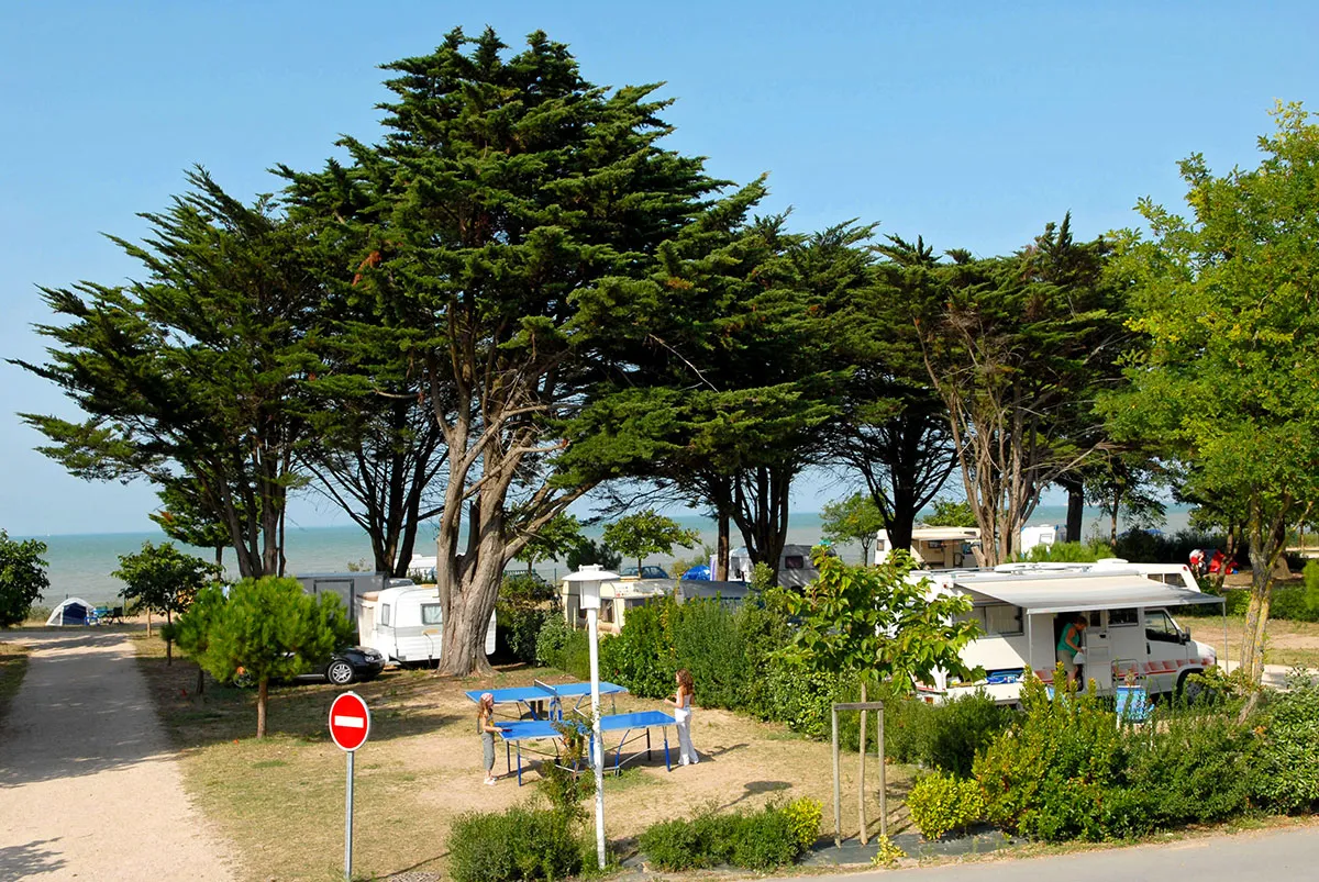 Camping Le Platin Poitou-Charentes - Rivedoux-Plage visuel 11/15