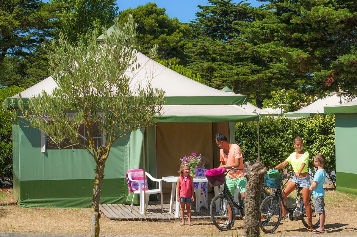 Camping Le Platin Poitou-Charentes - Rivedoux-Plage visuel 5/15