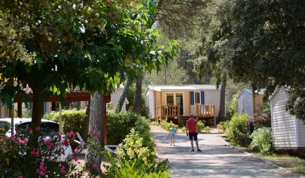 Camping Le Plein Air des Chênes Languedoc-Roussillon - Clapiers visuel 21/25