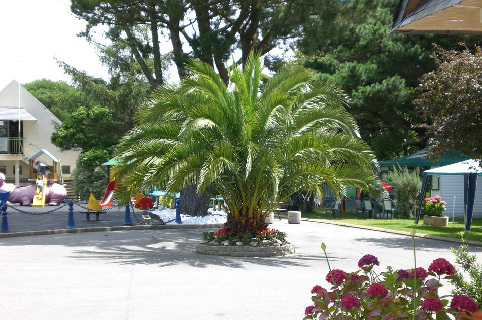 Le Raguenès Plage Bretagne - Névez visuel 9/9