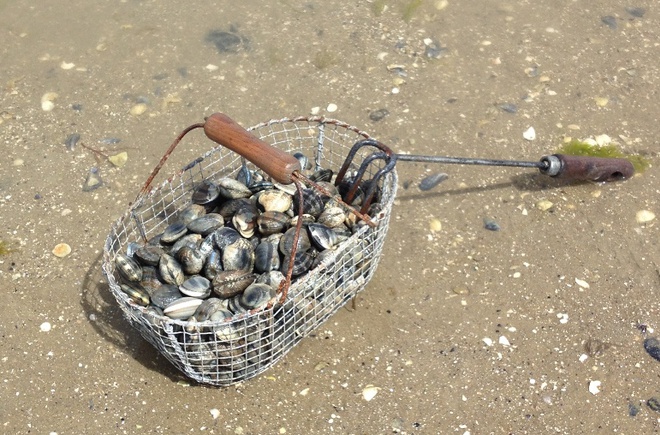 Le Rivage Pays de Loire - Saint-Jean-de-Monts visuel 3/5 Le Rivage Pays de Loire - Saint-Jean-de-Monts visuel 3/5