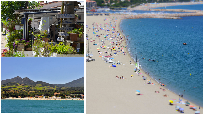 Le Saint Andre Languedoc-Roussillon - Saint-André visuel 3/3