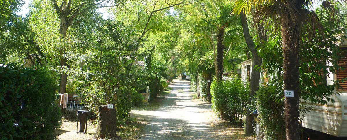 Le Saint Martin Languedoc-Roussillon - Céret visuel 2/3