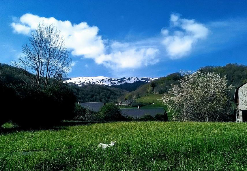 Le Saint Roch Midi-Pyrénées - Campan visuel 1/1 Le Saint Roch Midi-Pyrénées - Campan visuel 1/1