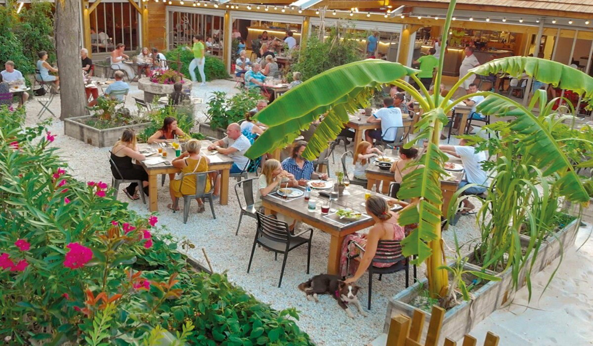 Le Soleil Languedoc-Roussillon - Argelès-sur-Mer visuel 5/11