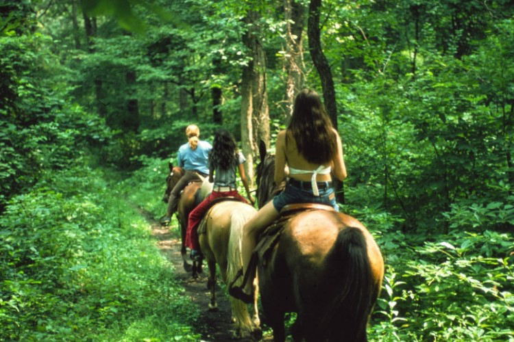 Le Soline Toscane - Casciano visuel 6/9