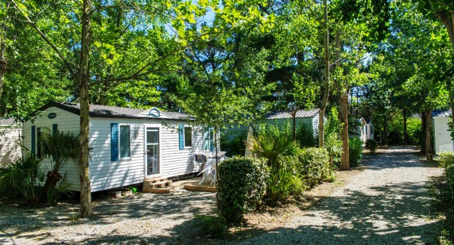 Le Texas Languedoc-Roussillon - Argelès-sur-Mer visuel 3/4