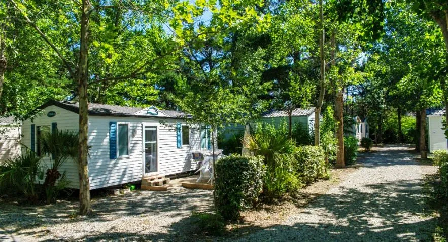 Camping Le Texas Languedoc-Roussillon - Argelès-sur-Mer visuel 3/4