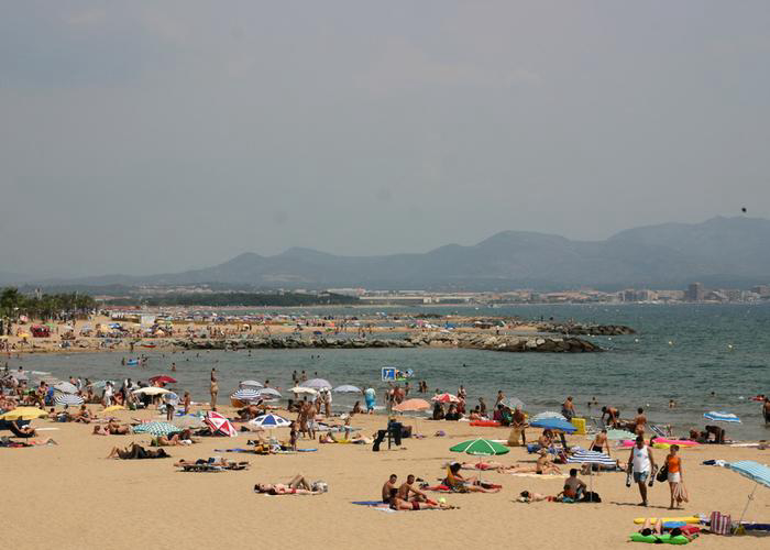 Le Vaudois Provence-Alpes-Côte d'Azur - Roquebrune-sur Argens visuel 7/8