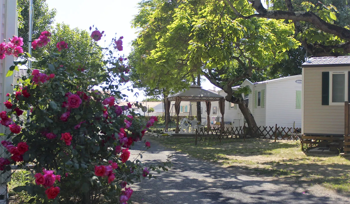 Camping Les Acacias Poitou-Charentes - Rivedoux-Plage visuel 2/4