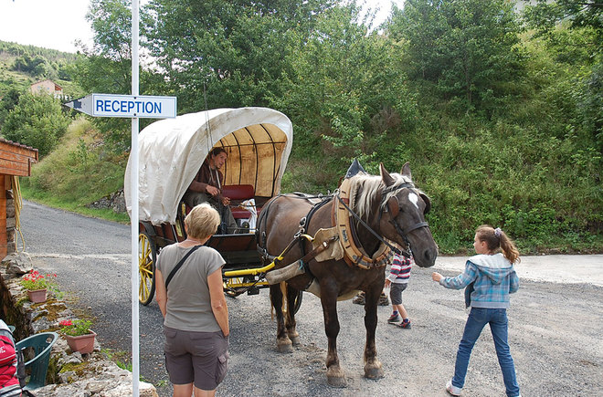 Les Airelles Rhône-Alpes - Saint-Cirgues-en-Montagne visuel 4/6