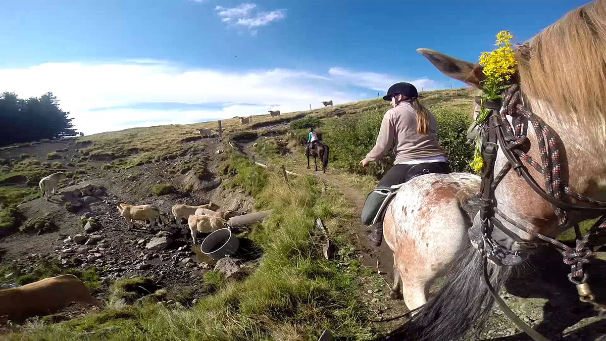 Les Aurandeix Auvergne - Tauves visuel 2/11