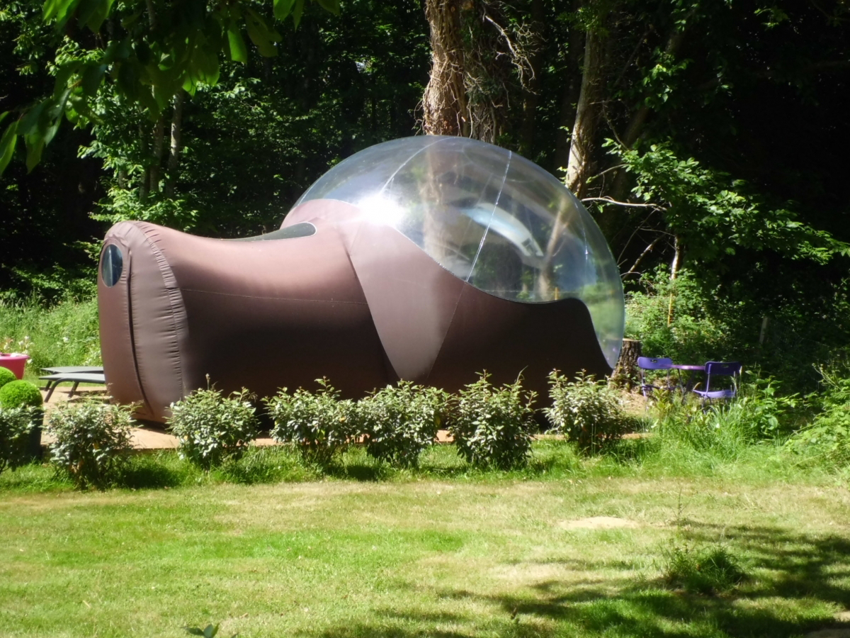 Les Cerisiers Bretagne - Guillac visuel 13/29